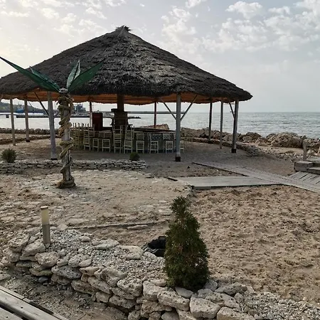 Katina بالشيك